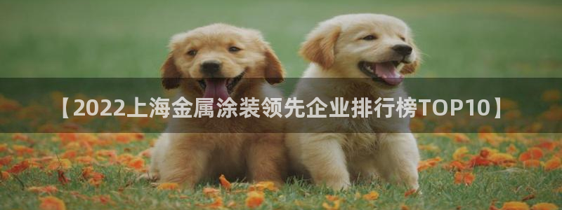 美高梅公司电子邮件地址