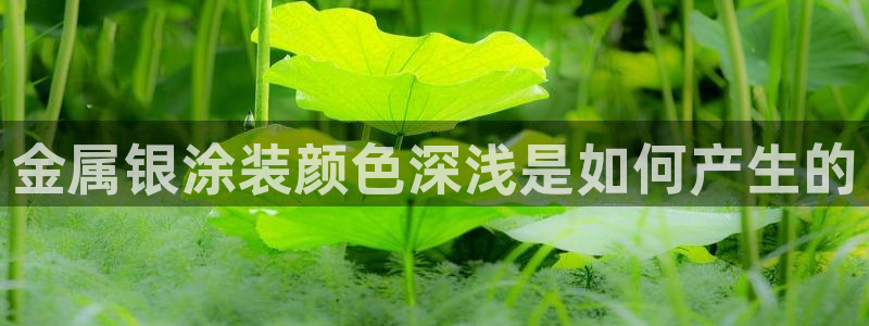 美狮美高梅酒店房间好订吗