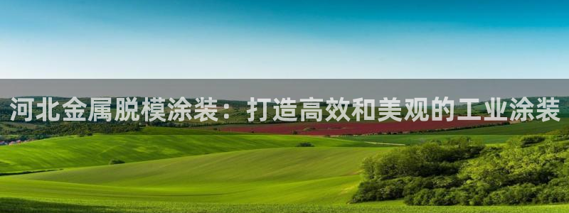 美高梅股票中国净资产多少