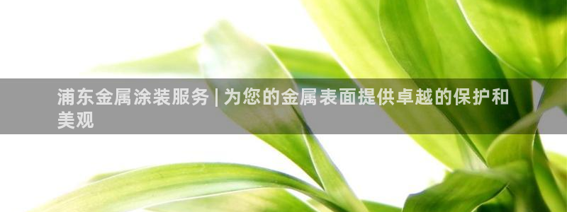 美高梅游戏官网app可以玩吗