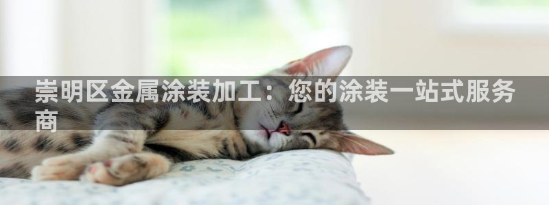 美高梅酒店狮子典故