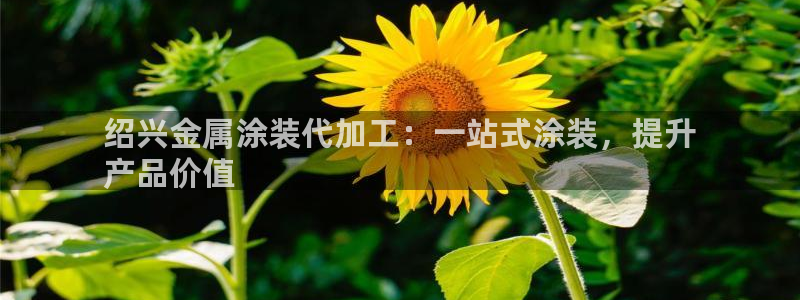 美狮美高梅发财车时刻表