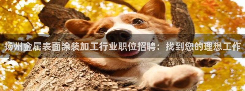 美高梅酒店有什么好玩的