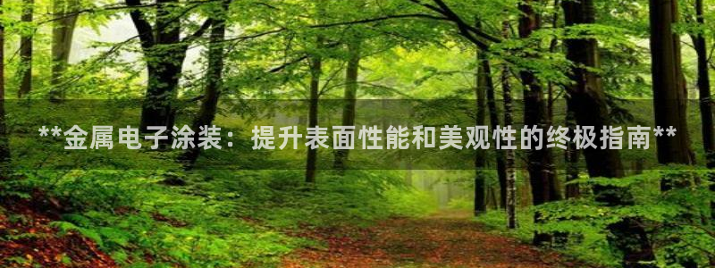 美狮美高梅酒店购物