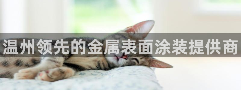 美高梅酒店国内有几家