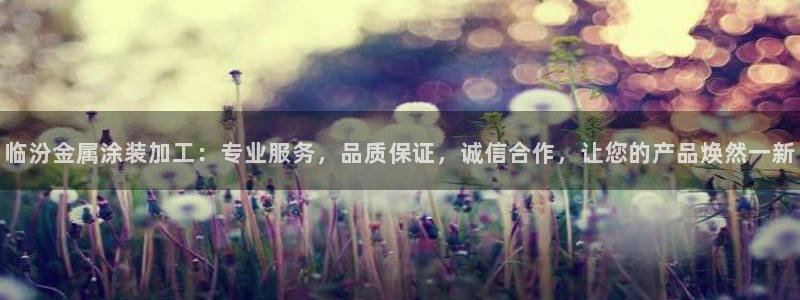 美高梅线上客服