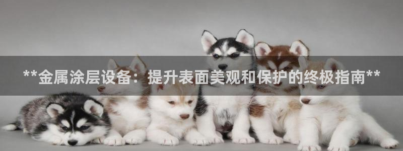 美高梅酒店外观