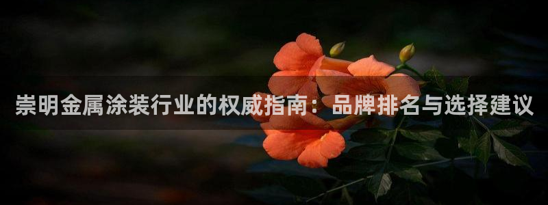 美狮美高梅酒店武汉有吗