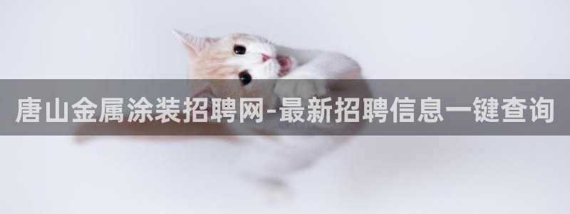 美高梅股票涨了多少