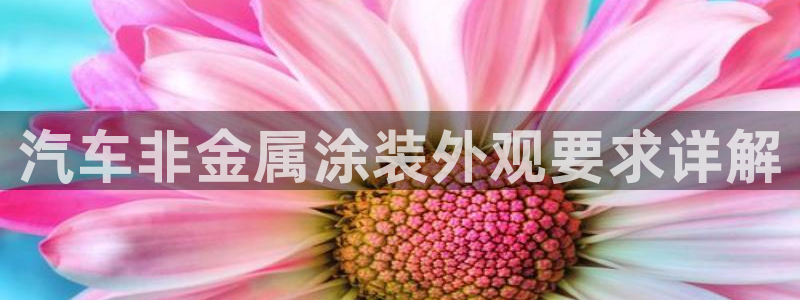 美高梅客服联系方法：汽车非金属涂装外观要