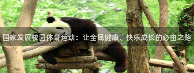 betway西汉姆官网：国家发展校园体育运动：让全民健康、快乐成长的必由之路