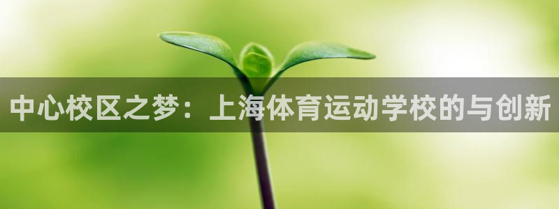 betway西汉姆官网：中心校区之梦：上海体育运动学校的与创新