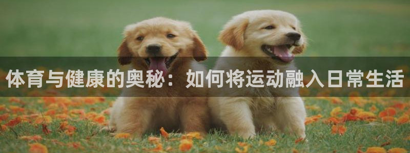 betway西汉姆联：体育与健康的奥秘：如何将运动融入日常生活