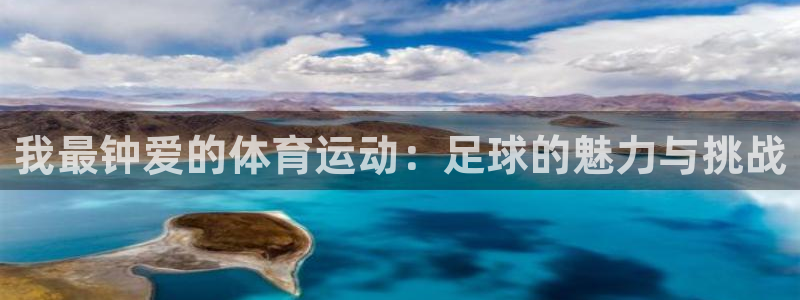 betway西汉姆：我最钟爱的体育运动：足球的魅力与挑战