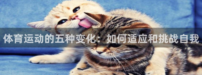 betway西汉姆：体育运动的五种变化：如何适应和挑战自我