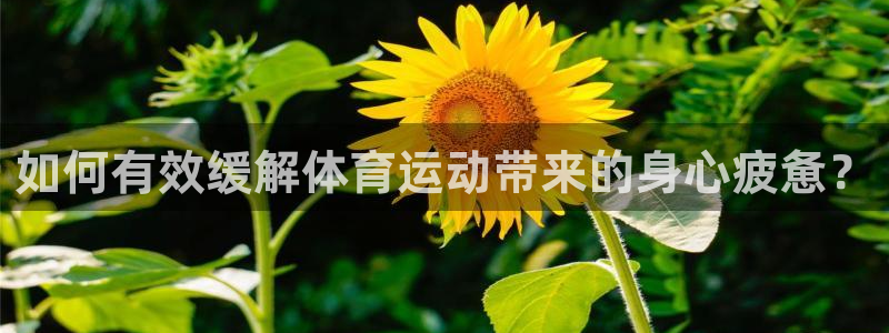 betway西汉姆官网