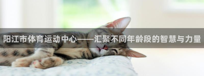 必威betway西汉姆联