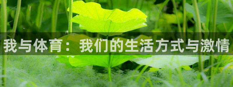 必威betway西汉姆联：我与体育：我们的生活方式与激情