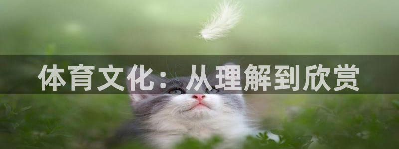 betway西汉姆联：体育文化：从理解到欣赏