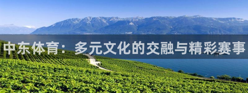 betway西汉姆联：中东体育：多元文化的交融与精彩赛事