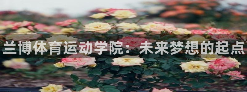 betway西汉姆联：兰博体育运动学院：未来梦想的起点
