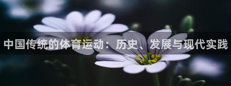 必威betway西汉姆联：中国传统的体育运动：历史、发展与现代实践