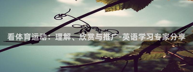 betway西汉姆官网：看体育运动：理解、欣赏与推广-英语学习专家分享