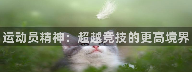 betway西汉姆：运动员精神：超越竞技的更高境界