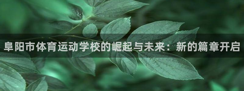 betway西汉姆官网：阜阳市体育运动学校的崛起与未来：新的篇章开启