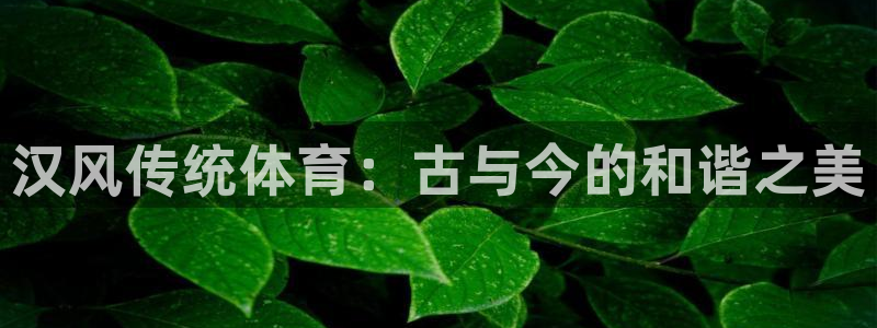 必威betway西汉姆联：汉风传统体育：古与今的和谐之美