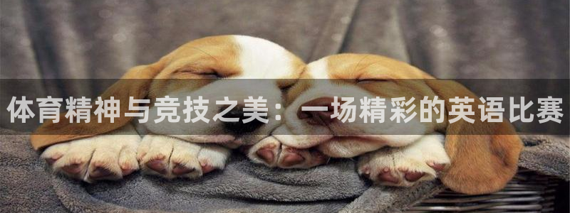 betway西汉姆联：体育精神与竞技之美：一场精彩的英语比赛
