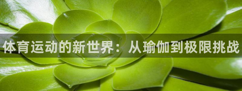 betway西汉姆：体育运动的新世界：从瑜伽到极限挑战