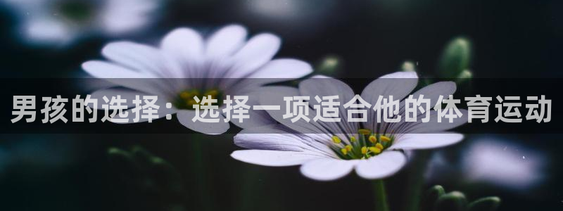 betway西汉姆官网