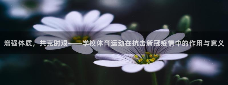 betway西汉姆官网