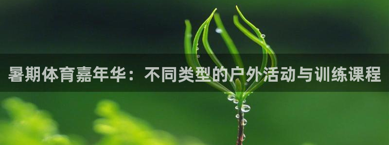 必威betway西汉姆联