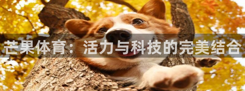 betway西汉姆联官网