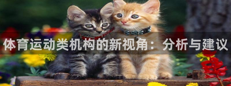betway西汉姆联