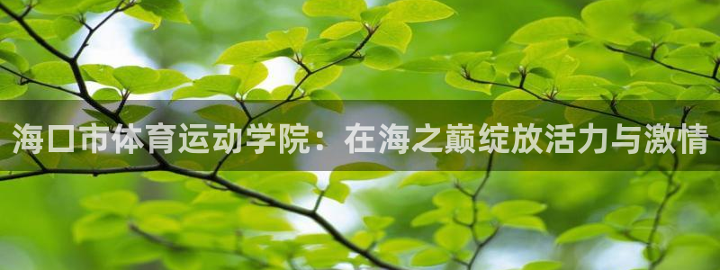 betway西汉姆联：海口市体育运动学院：在海之巅绽放活力与激情