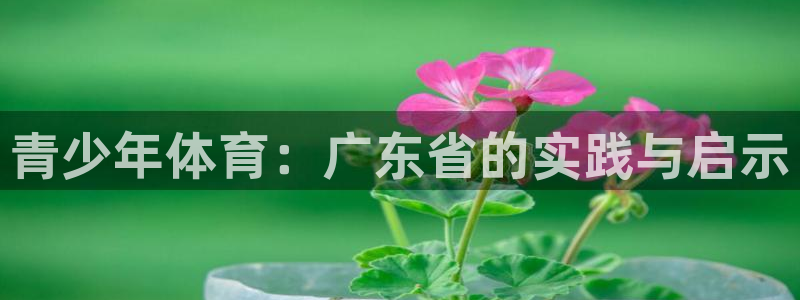 betway西汉姆联：青少年体育：广东省的实践与启示