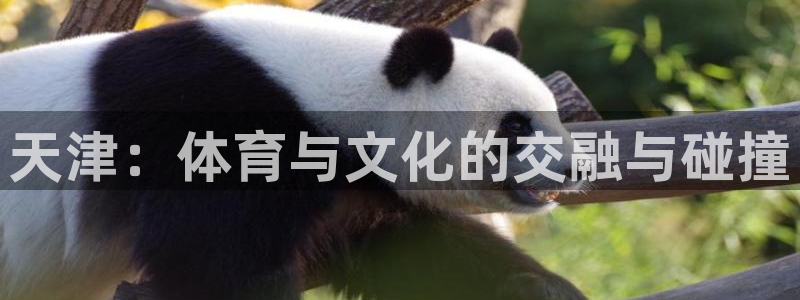 betway西汉姆联官网：天津：体育与文化的交融与碰撞
