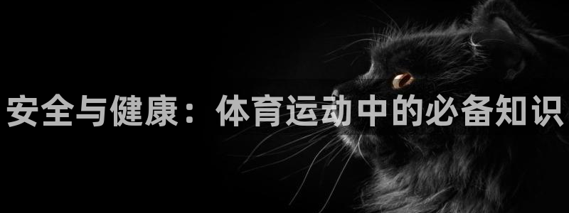 必威betway西汉姆联：安全与健康：体育运动中的必备知识
