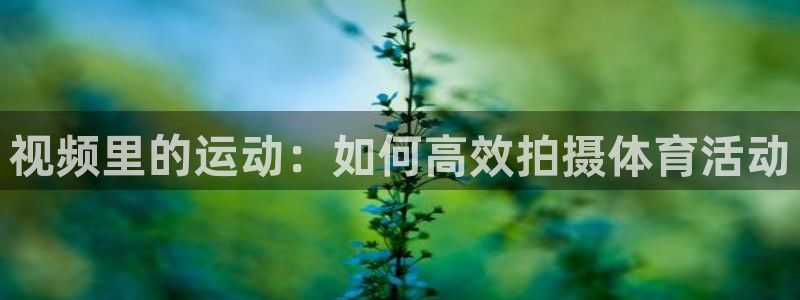 必威betway西汉姆联：视频里的运动：如何高效拍摄体育活动